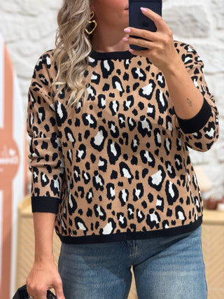 Pull MIRTA