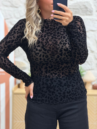 Top BRENDA
