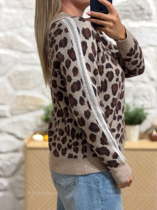 Pull CHOUPETTE