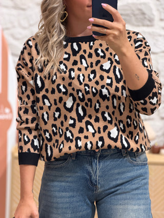 Pull MIRTA