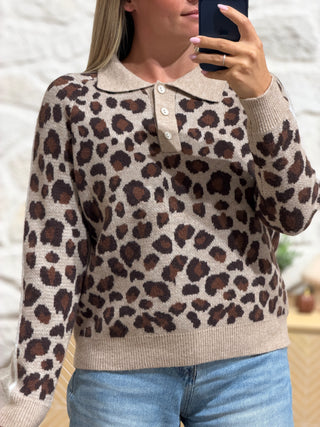 Pull CHOUPETTE