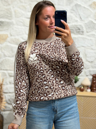 Pull BAYA