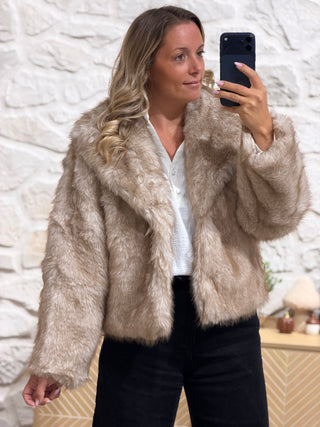 Veste TINTIN