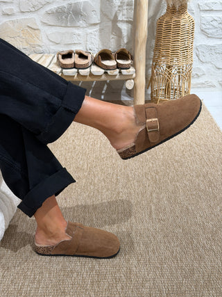 Mules OTTAWA