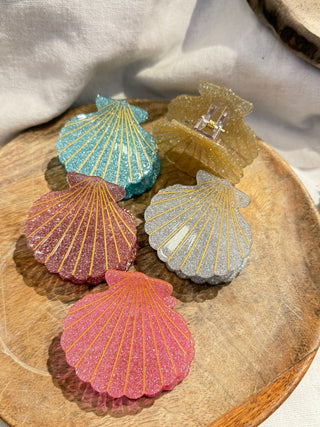 Pinces COQUILLE
