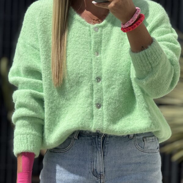 Gilet BROWNIE - Vert